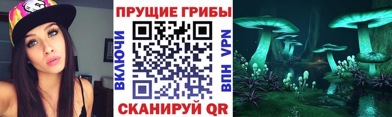 Псилоцибиновые грибы Psilocybine cubensis  Купить  Малоярославец 